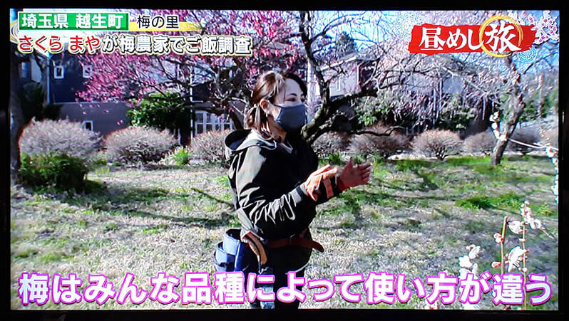 3月19日のテレ東の昼めし旅で取材されました。